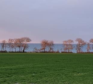 Wandern Fehmarn