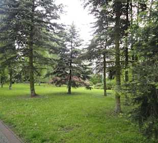 Park
