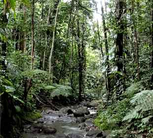 Impressionen aus den Jardins de Valombreuse