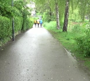 Wanderung rund um den Stadtsee