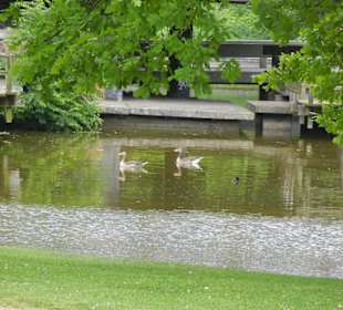 Parkanlage Planten un Blomen