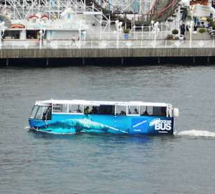 Ocean Bus