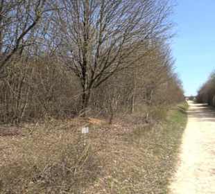 Besinnungsweg Weit-Blick
