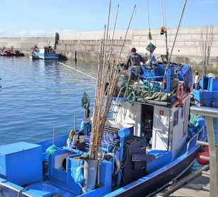 Impressionen aus dem Hafen von Calheta