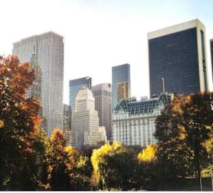 Skyline vom Park aus