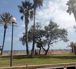 Strand Cala Millor