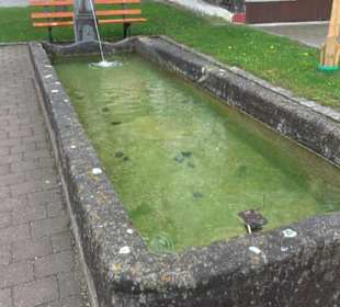 Brunnen Kornbühlstraße Salmendingen