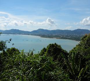 Ausblicke vom Viewtower