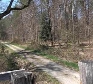 Waldkulturerbe Neuweiler Viehweide