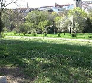 Parkanlage Villa Berg