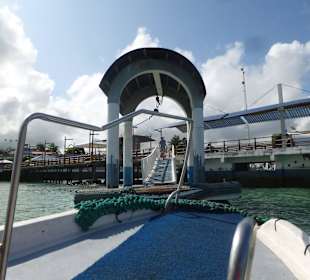 Mit dem Wassertaxi auf die andere Seite