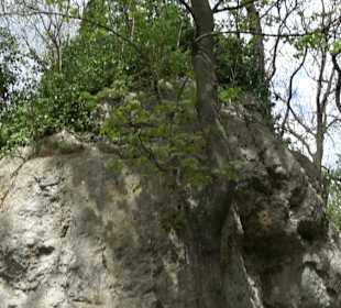 Wallersteiner Felsen