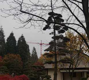 Parkanlage Planten un Blomen