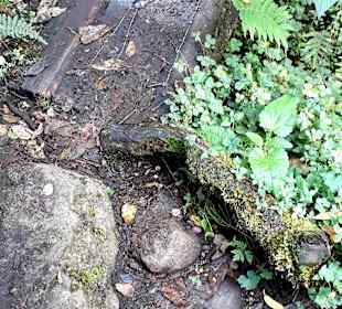 Rundweg „La Isla“ Path