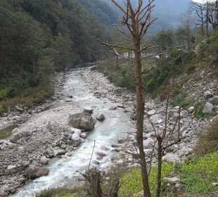 Stream in the valley