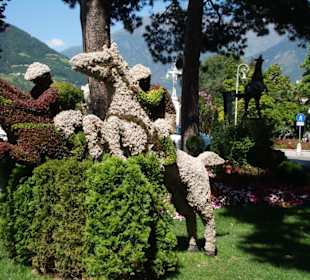 Blumenarrangement auf der Promenade