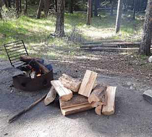 ....Holz war schon angeliefert!