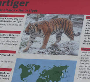 Beschreibungen zur Info