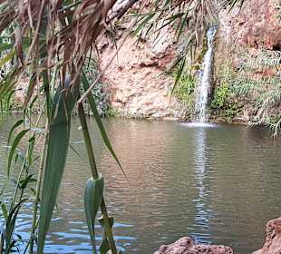Wandern Cabanas de Tavira