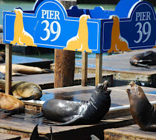 DerWesten -  USA Rundreise mit Dertour