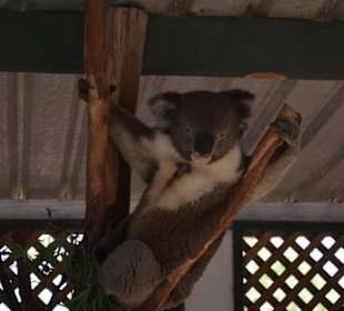 Feather Dale Wildlife Park