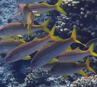 В лагуне отеля