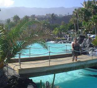 Piękne baseny z wodą  oceaniczna