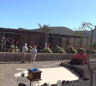 Guinitate Tropical Park