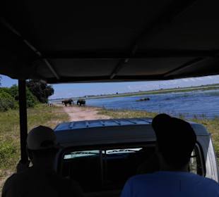 Im Chobe Nationalpark