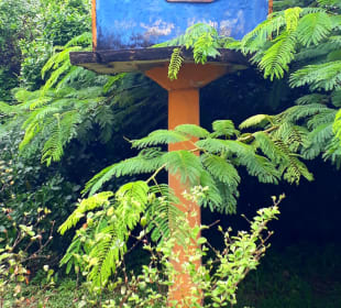 Coral Caves Mangapwani