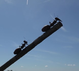 Skulptur Ameisenkreisel Pfalzgrafenweiler