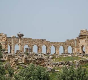 Volubilis