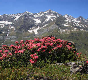 Intakte Naturlandschaft