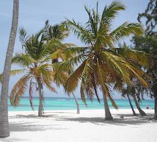 Ausflug Isla Saona-ein Traum!!!