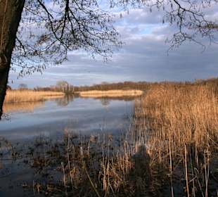 Natur pur