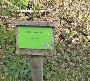 Strauchlehrpfad