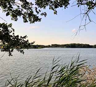 Molfsee - 3 Min. vom Hotel entfernt