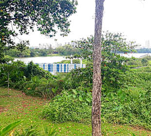 Jurong Lake und Gärten