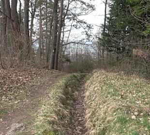 Unterjesinger Wengertwegle