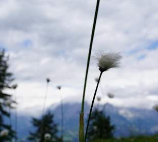 Wandern Wagrain