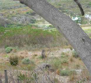 Kap der Guten Hoffnung