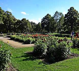 Großer Garten Dresden