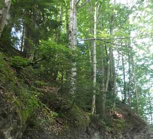Schöne Wanderungen bei Oberstdorf