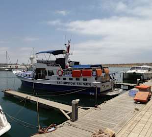 In der Marina von Agadir