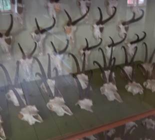 Heimatmuseum Oberstdorf