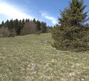 Rundweg am Beutenlay