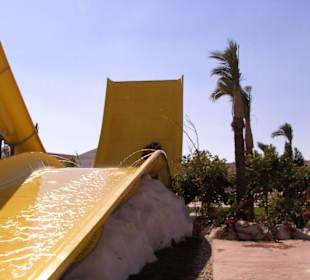 Nichts für schwache Nerven!