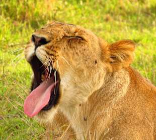 So nun mach dein Foto !!!