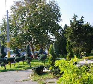 City Konstanza Modern