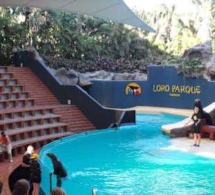 Loro Parque 